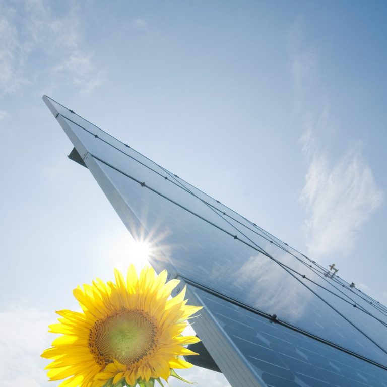 PV-Systeme I Frank Elektrotechnik